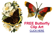 free butterfly pictures