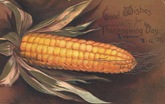 vintage-Thanksgiving-corn-pastcard
