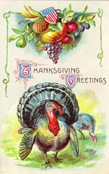 vintage-Thanksgiving-harvest-turkey-postcard