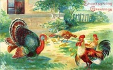 vintage-Thanksgiving-turkey-chickens-clipart