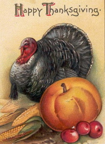 Postcards on Wild Turkeys Are Making A Comeback  In The 1930 S They Had Become