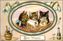 vintage happy new year cards three cats champagne