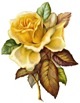 free vintage yellow rose with green and brown leaves