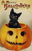 vintage-Halloween-black-cat-pumpkin-card