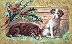 vintage-Christmas-card-brown-dog-white-dog-holly