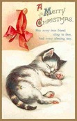 vintage-Christmas-card-kitten-red-ribbon