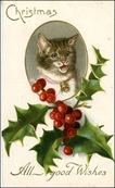 vintage-christmas-cards-holly-striped-brown-cat