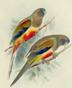 3438_12[1]
