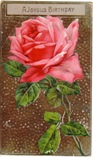 free vintage birthday card pink rose