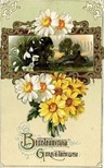 free vintage birthday cards white and yellow daisies