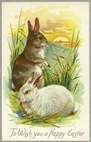 free vintage easter bunnies overlooking sunset greeting card