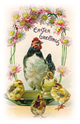 free vintage Easter clip art chicken chicks and daisy border