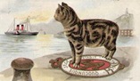 vintage cat by the sea clip art