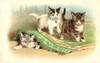 vintage cat clip art three playful kittens under rug
