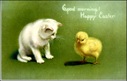 free vintage Easter clip art white cat with yellow baby chick