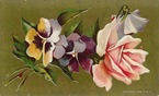 free vintage pink cabbage rose clipart with pansies mothers day card