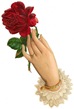 free vintage clip art motehrs day womans hand with single red rose